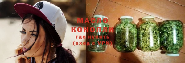соль ск Каменка