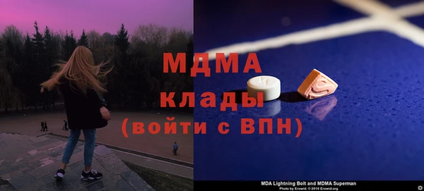 соль ск Каменка
