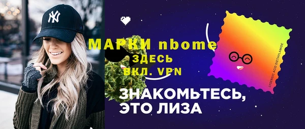 соль ск Каменка