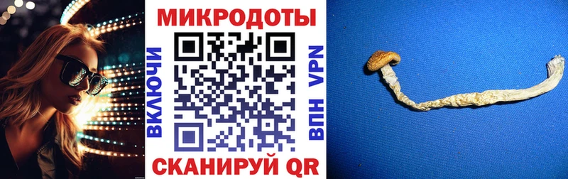 Купить где  Долинск  Галлюциногенные грибы мухоморы 